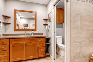 A wooden vanity with one sink vanity, large mirror and a door leading to a separate room for the toilet and shower.