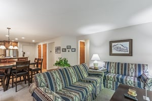 Snow Flower 135s living room with southwestern upholstered couch and the open concept dining room.