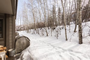 Private Patio on the ground level which is covered in snow and next to an aspen grove.