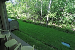 The private patio with two chairs and green lawn next to an aspen grove full of summer leaves.