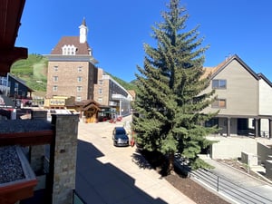 Resort plaza views on a sunny summer day showing the large conifer tree in the plaza