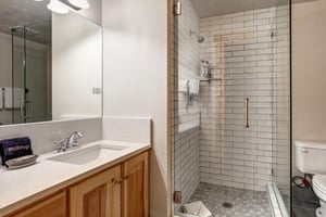 Second bathroom with walk in tiled shower and single sink vanity.