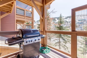 The three bedroom Town Pointe B205 condominium offers skiin and out access to Town Lift and walking distance to Historic Main Street.