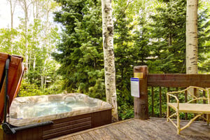 The Aspen Hollow 6 has a large hot tub off a private deck that is surrounded by the trees.