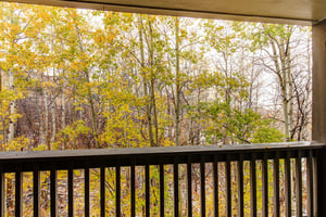 The private deck overlooking the forest in late fall.