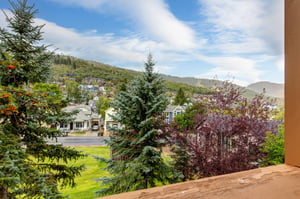 The three bedroom Town Pointe B205 condominium offers skiin and out access to Town Lift and walking distance to Historic Main Street.