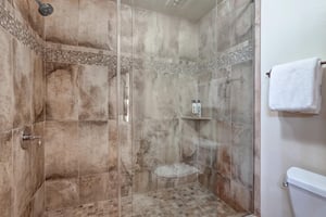 Walkin tiled shower with European glass door.