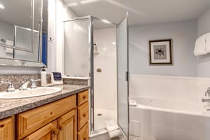The bathroom offers a deep soaker tub, walk in shower and single sink vanity.