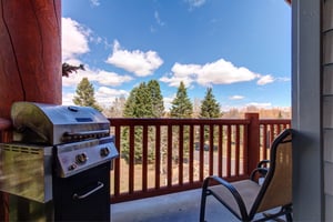 Snow Flower 30 has a private balcony with a BBQ gas grill.