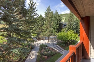 The private patio surrounded be beautiful evergreen trees in the summer.