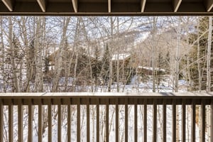 Private patio with views of the aspen trees