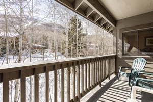 Private patio with views of the aspen trees