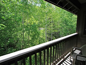Private patio with views of the aspen trees in summer.
