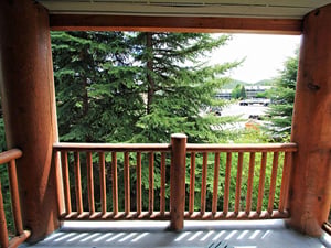Summer View