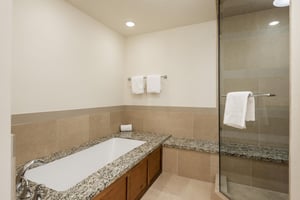 Separate shower and tub in the main bathroom