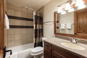 Full guest bathroom