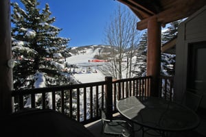 Winter View