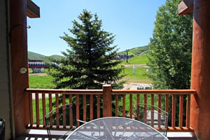 Summer View