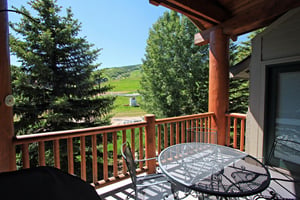 Summer View
