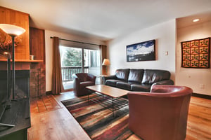 The living room allows access to the private patio through the sliding glass door