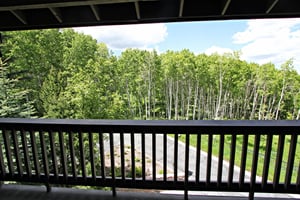 Summer View