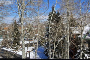 Winter View