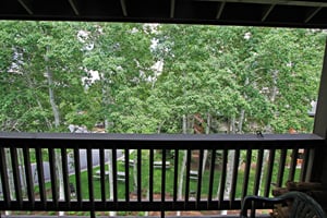 Summer View