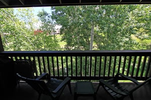 Summer View