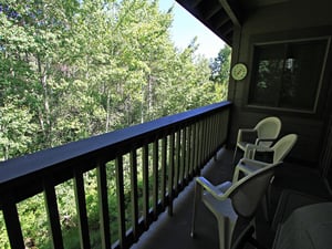 Summer View