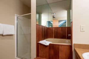 Separate shower and jetted tub in the guest bathroom