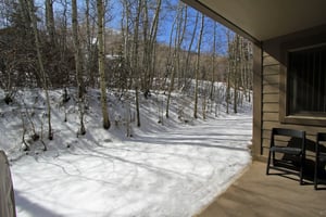 Snow Flower 134 has a private patio that over looks an aspen grove.