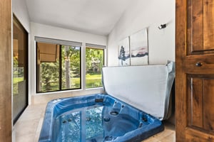 Queen Esther 2425s indoor hot tub with modern landscape art on the wall and large windows.