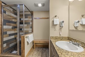 The bathroom has a walkin shower and single sink vanity.