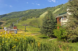 Enjoy access to miles of hiking and biking trails from your Snow Flower condo,