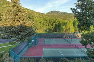 Tennis and pickleball courts summer only