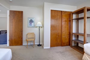 The bedroom, accessed through the loft, has a closet and large storage shelves.