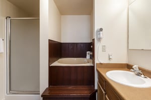 Full guest bathroom with jetted tub