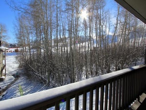 The winter view from the private patio.