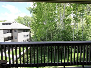 The summer view from the private patio.