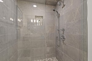 The walkin shower and European glass door.