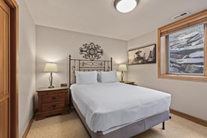 The bedroom on the lower level has a queen size bed.