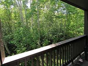 The private deck with gorgeous summer views of the aspen trees.