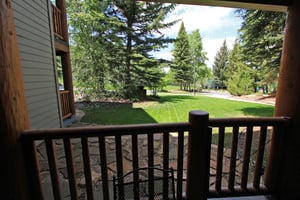 Summer View