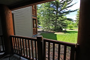 Summer View