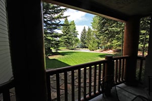 Summer View