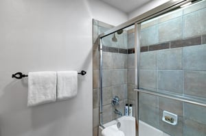 A combination shower and bathtub.