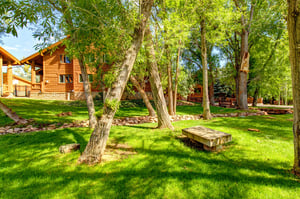 Plants, trees and a babbling creek in the open space across from Timber Wolf Lodge 7C.
