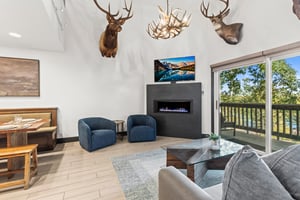 Snow Flower 126 has a living room with stylish furnishings, gas burning fire, and flat screen TV.
