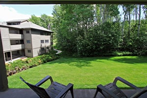 Summer View
