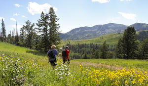 Hiking trails at Park City Mountain Resort are just a short walk away.